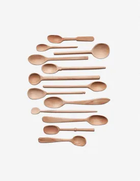 Baker's Dozen Assorted Wood Spoons