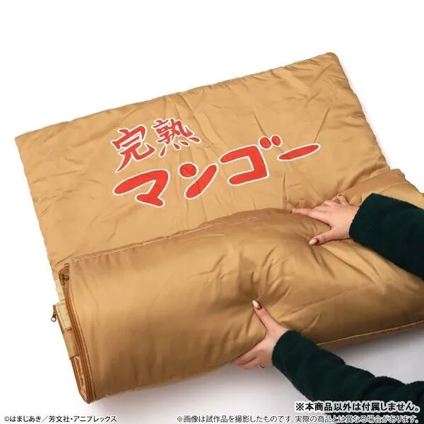 BOCCHI THE ROCK Hitori Gotoh Cardboard Box Style Sleeping Bag Japan Limited