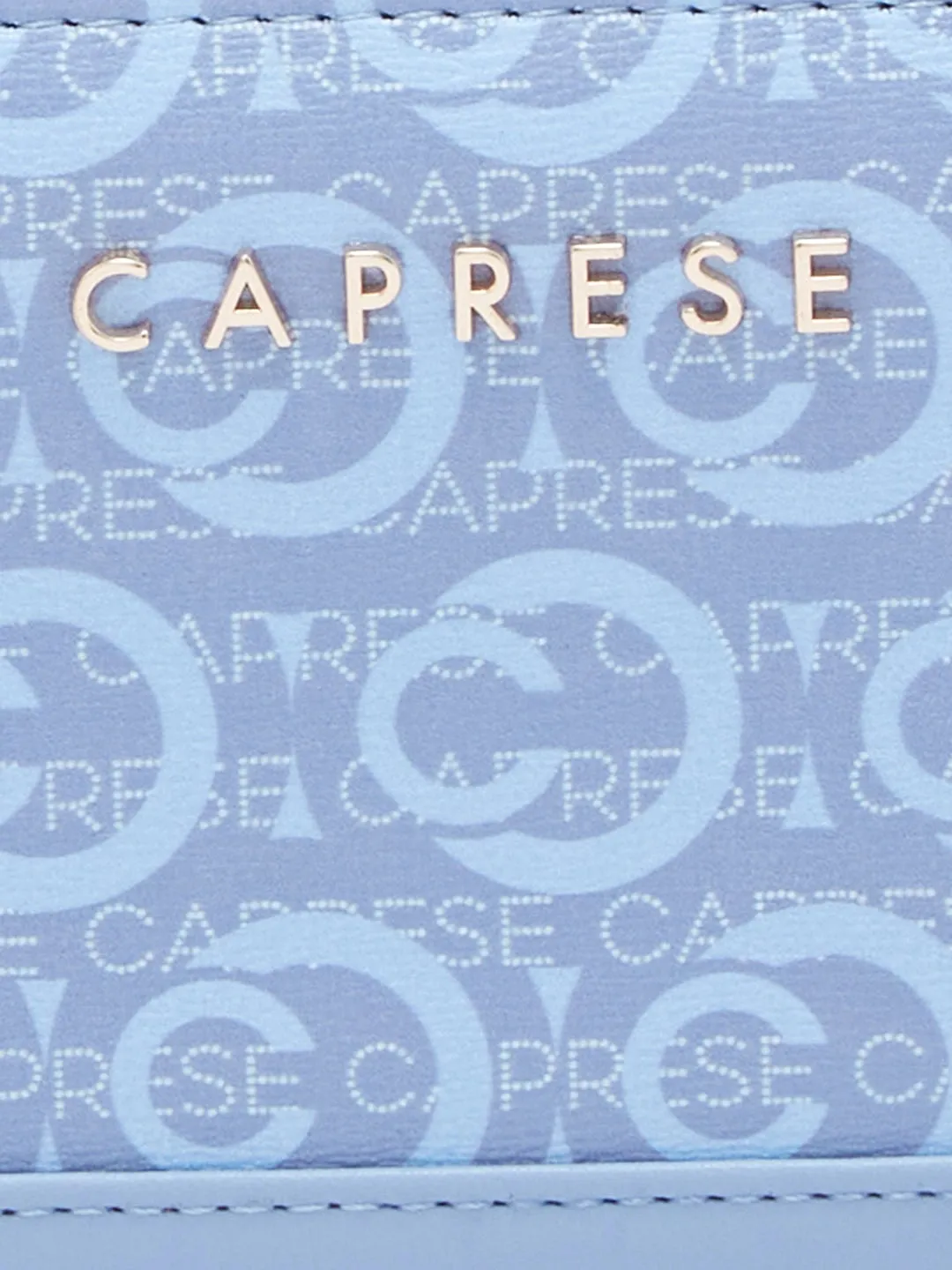 Caprese Cleo Wallet Medium Powder Blue