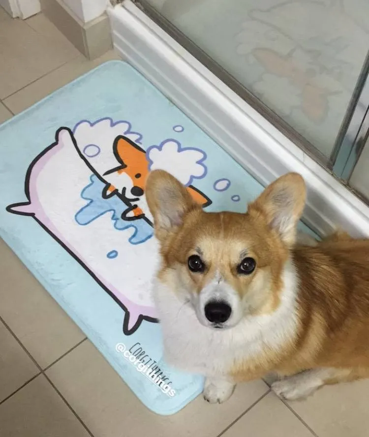 Red Corgi Bath Mat | 2 Sizes