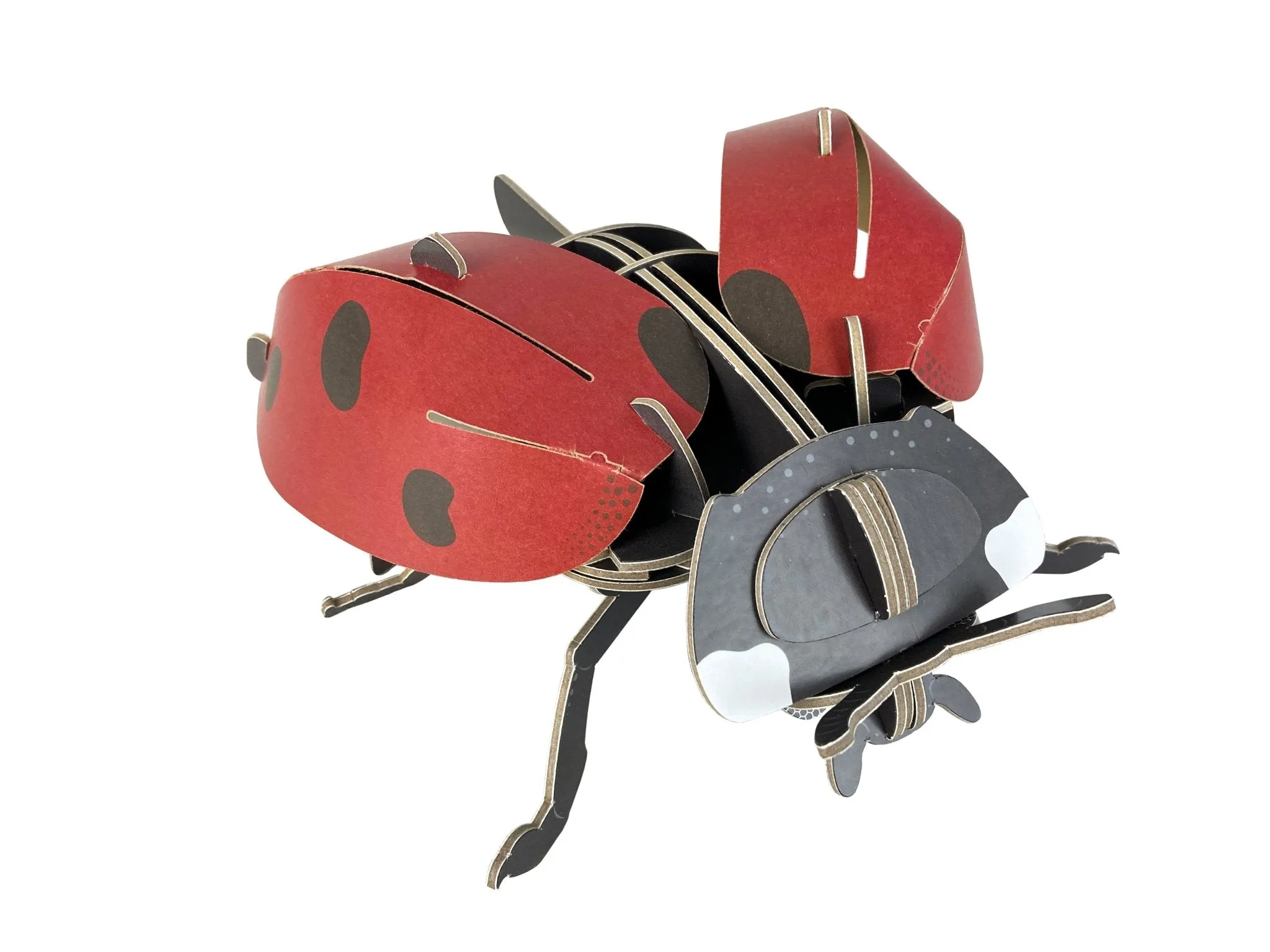 STEM Build - Ladybird with Moving Mechanisms