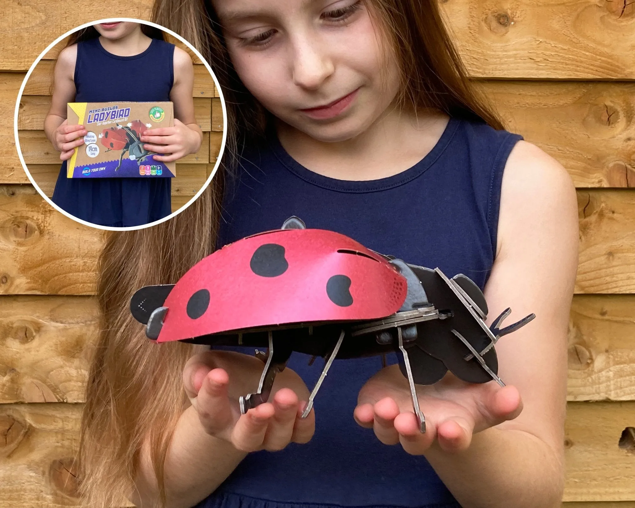 STEM Build - Ladybird with Moving Mechanisms